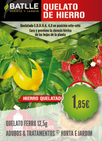 Quelato Ferro