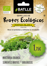 Mostarda Branca