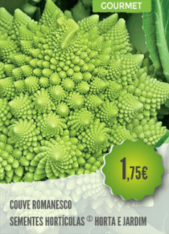 Couve Romanesco