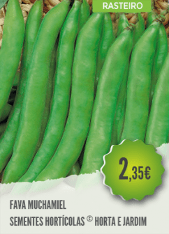 Fava Muchamiel