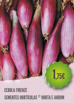 Cebola Firenze