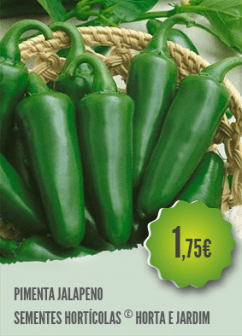 Pimenta Jalapeno