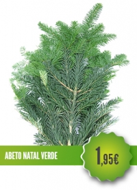 Abeto Natal Verde