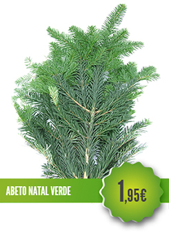 Abeto Natal Verde