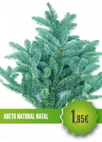 Abeto Natural Natal