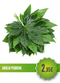 Arália