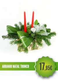Arranjo Natal Tronco