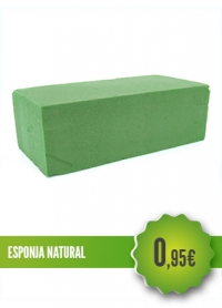 Esponja Natural