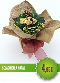 Selaginella