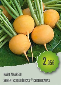 Nabo Amarelo