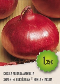 Cebola Morada Amposta