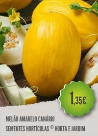 Melão Amarelo Canário
