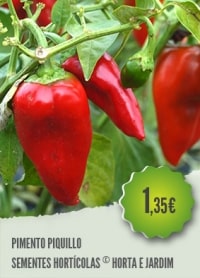 Pimento Piquillo