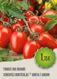 Tomate Rio Grande