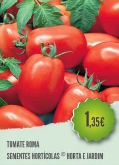 Tomate Roma