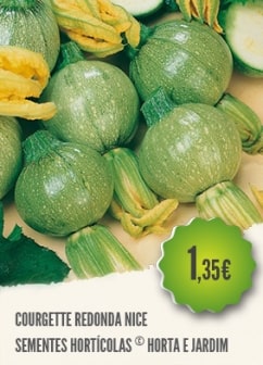 Courgette Redonda Nice