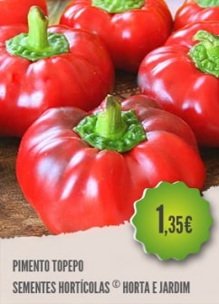 Pimento Topepo