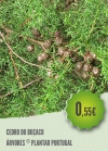Cedro do Buçaco