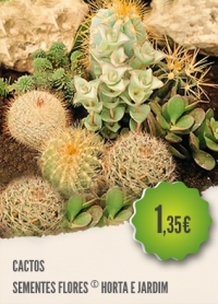 Cactos