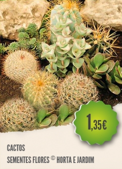 Cactos