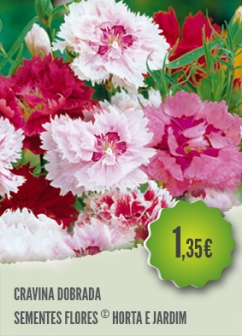 Cravina