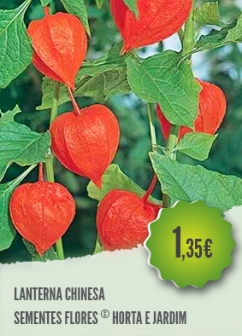 Lanterna Chinesa