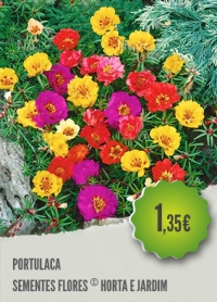 Portulaca