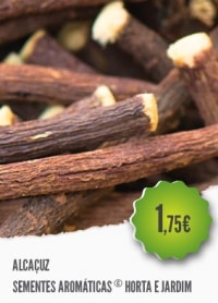 Alcaçuz