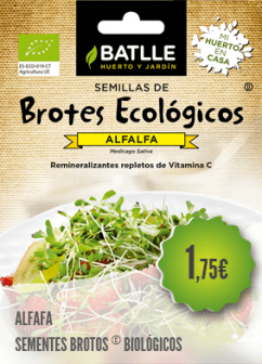Alfafa Alfafa