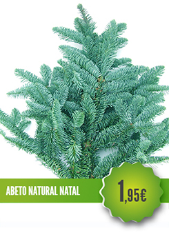Abeto Natural Natal Abeto Natural Natal