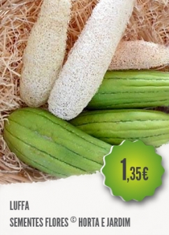 Luffa Luffa