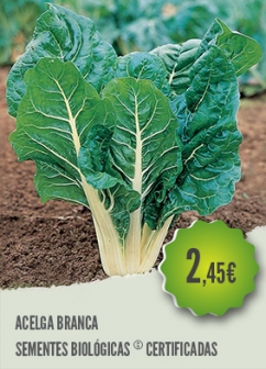 Acelga Branca Acelga Branca