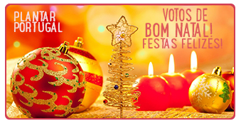 Bom Natal Festas Felizes