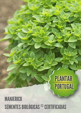 Loja Sementes Plantar Portugal